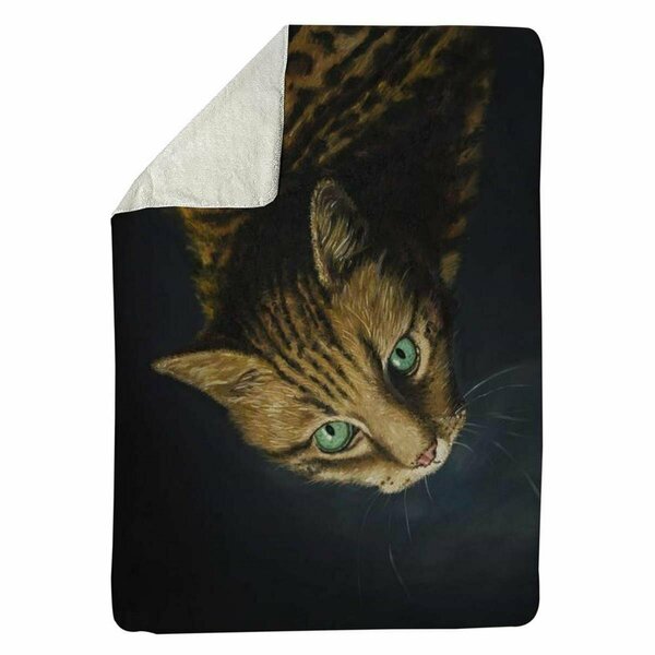 Begin Home Decor 60 x 80 in. Bengal Cat-Sherpa Fleece Blanket 5545-6080-AN494